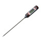 Thermometer electronic TP-101 в Казани